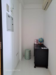 Loft @ Stevens (D10), Apartment #524041231